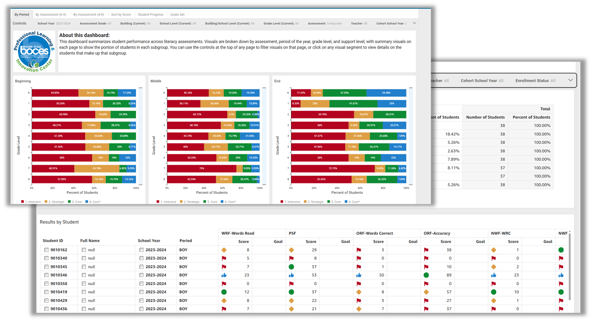 DIBELS Dashboard Example