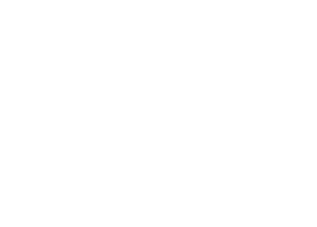 Mindex Logo