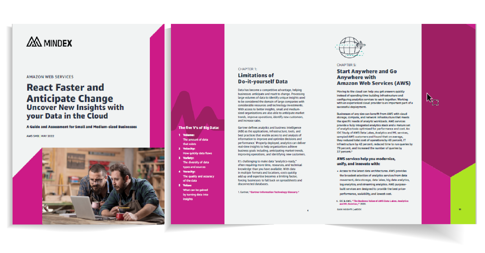 Mindex and AWS Data Insights eBook-01