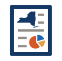 NYS Report icon